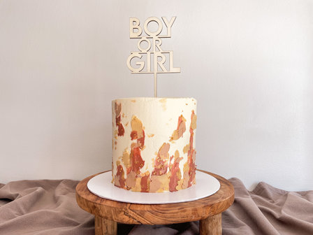 Caketopper &#039;Boy or Girl&#039; modern