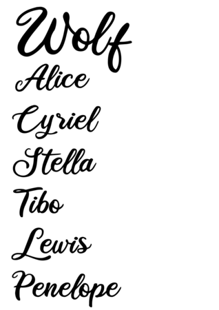 Houten naam 'Wolf'